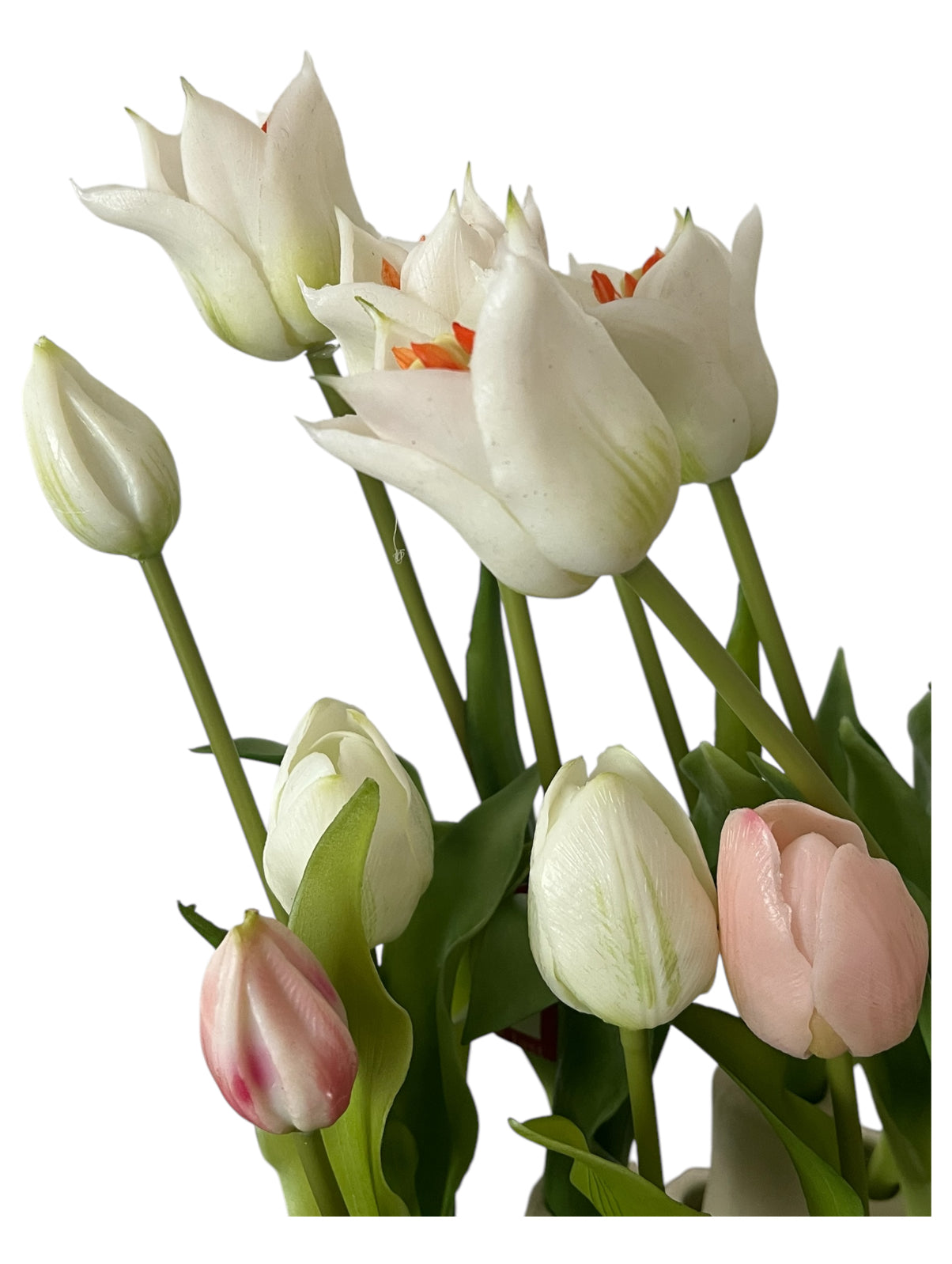 Statement Tulips (Large)