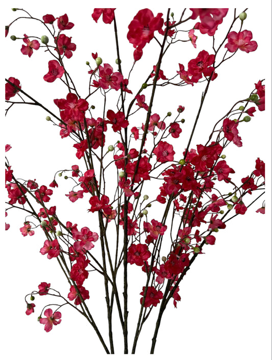 Fuchsia Tallness