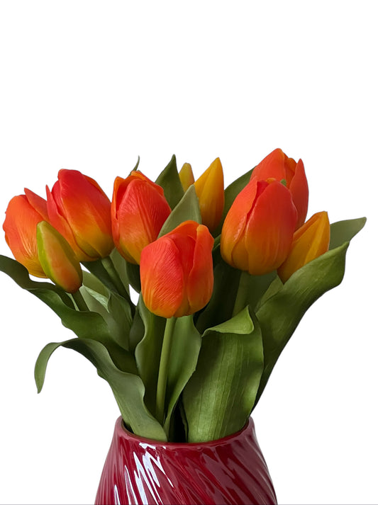 Classy Tulips