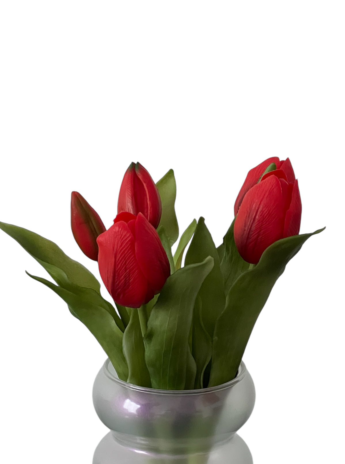 Tulips In Pearl