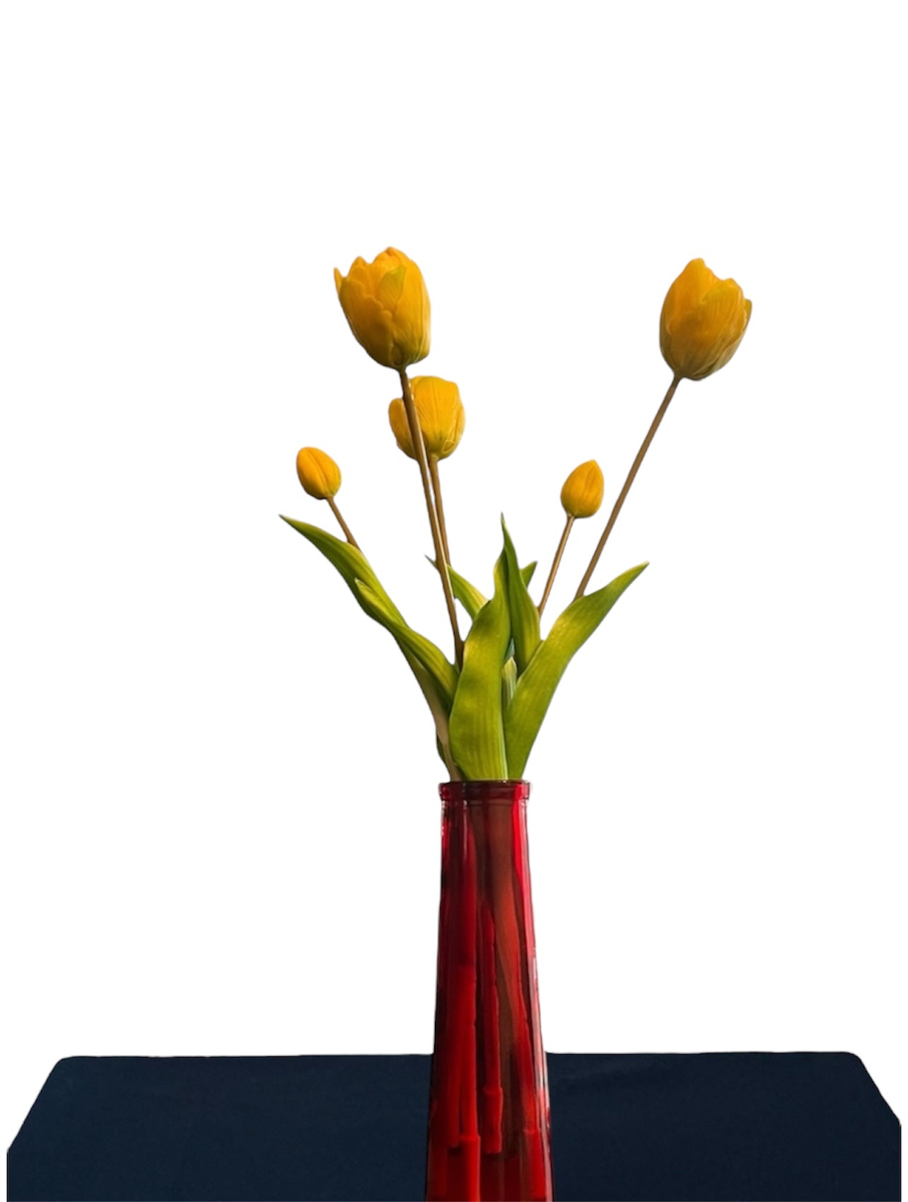 Tulpen