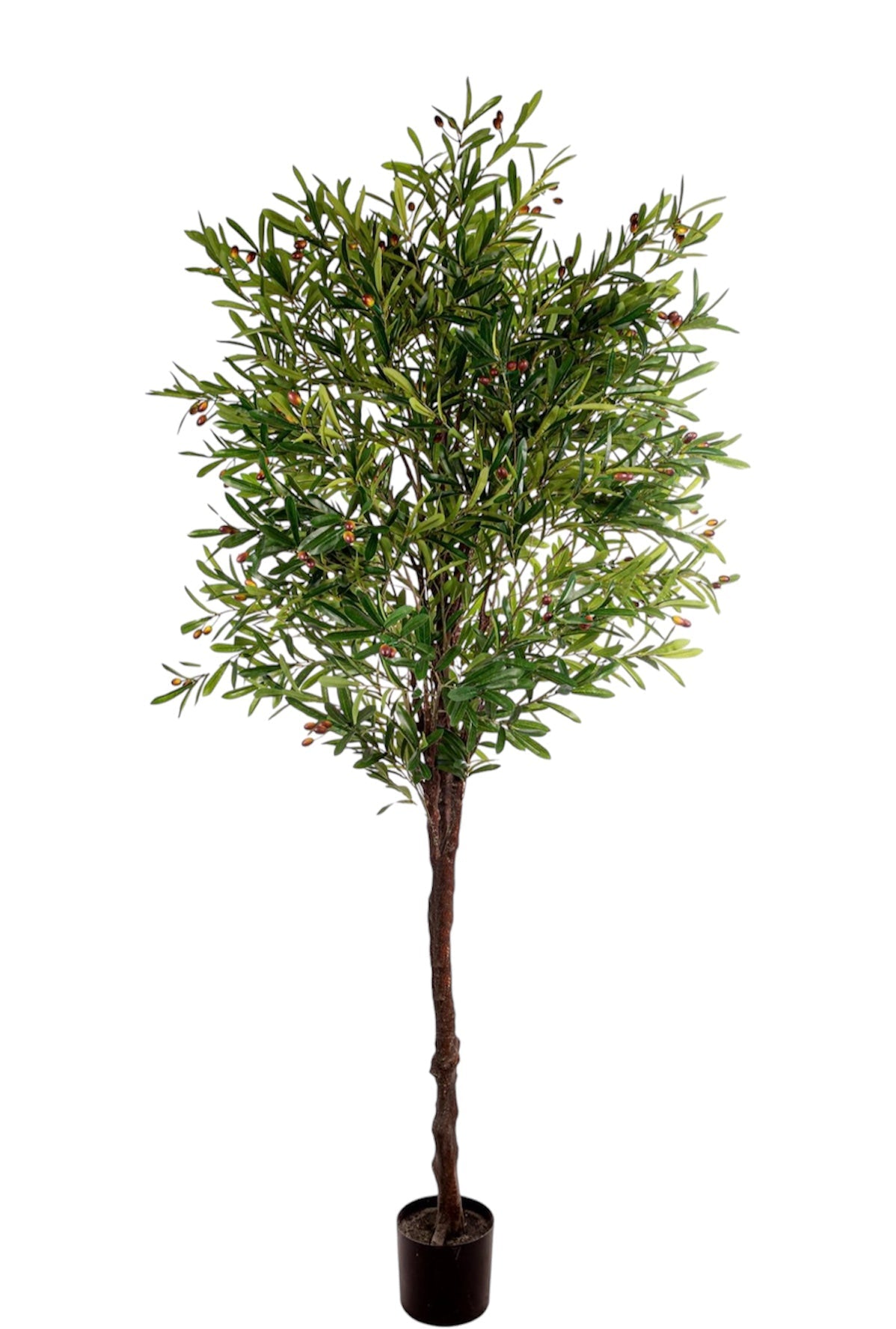 Kunstbomen en -planten