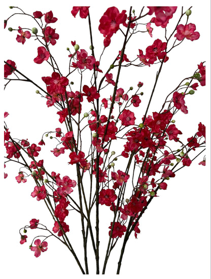 Fuchsia Tallness