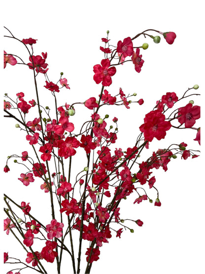 Fuchsia Tallness