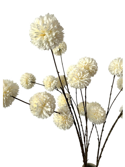 Snowballs
