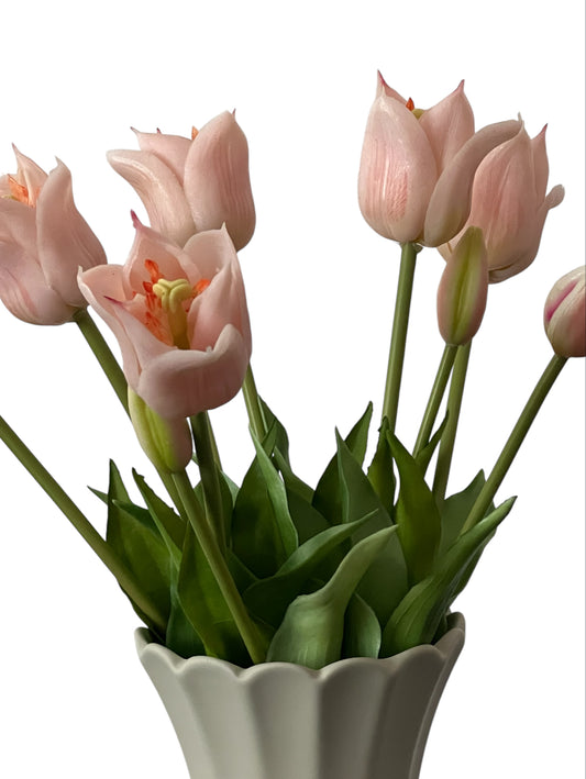 Old Money Tulips