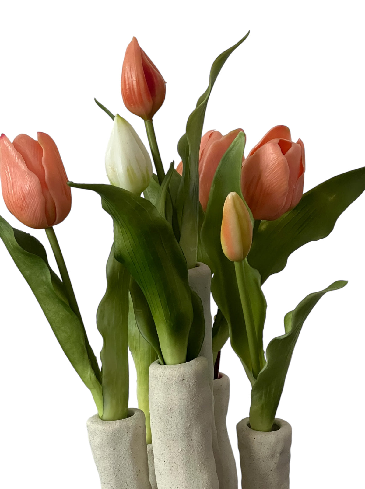 Statement Tulips(medium)