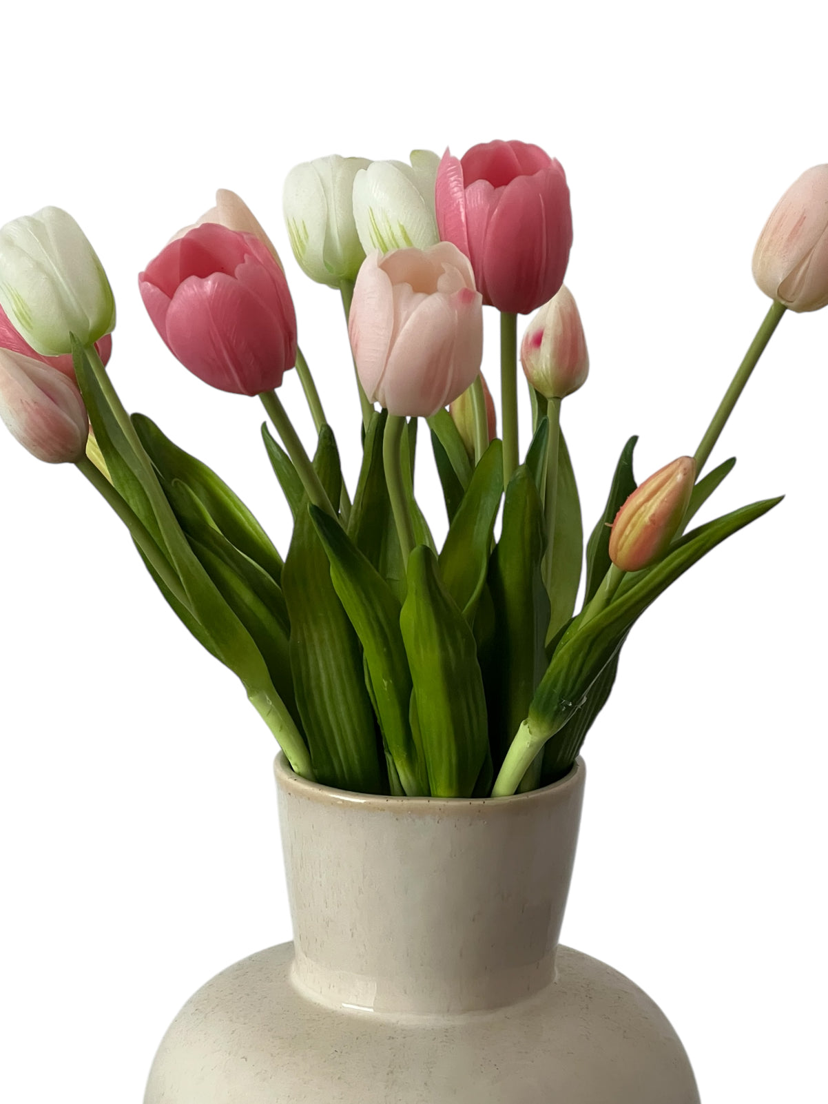 Simply Tulips
