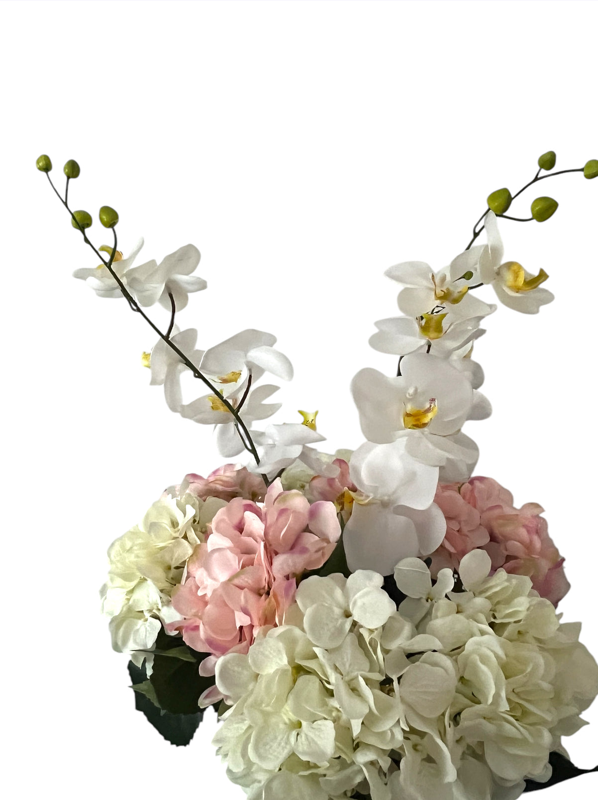 Beautifull Hortensia Explotion