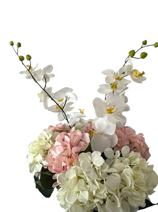 Beautifull Hortensia Explotion